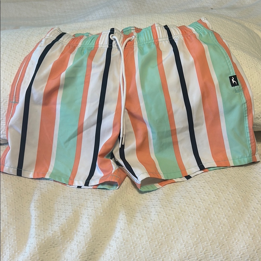 Hollister Multicolor Striped Swim Shorts